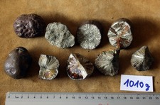 Markasit marcasite Pyrit Rohstein Mineralien Steinzeit Feuer Feuerzeug Survival