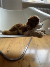 Steifftier, Bernhardiner