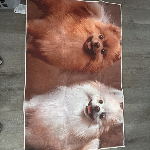 Pomeranian hundedecke süße - pomeranian,