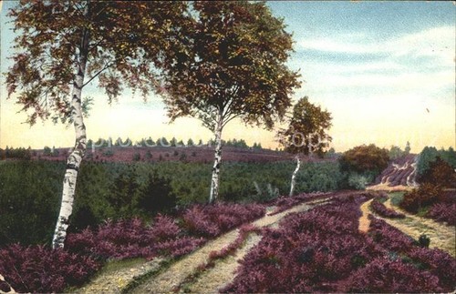 Borg walsrode lueneburger - walsrode,