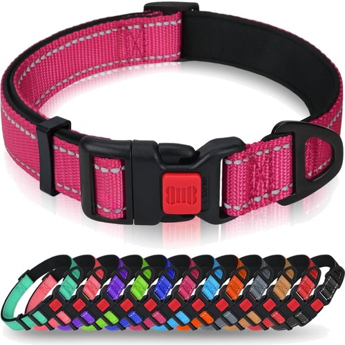 Hundehalsband reflektierend