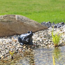 Froschfigur Wasserspeier SET