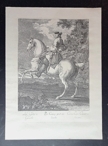 Der galop gerad - galop, lincks"