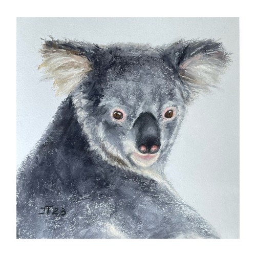 Koala original pastell - koala,
