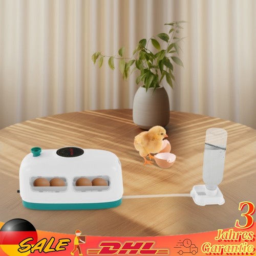 Eie hühner digitaler - 8-eie,