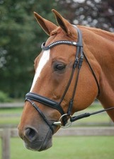 Trensenzaum dyon dressage - trensenzaum,