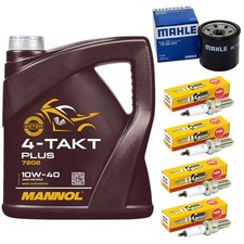 Inspektion Öl 4L Set