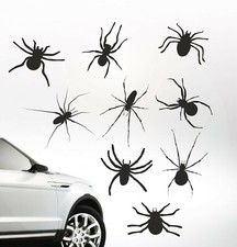 Spinnen Set Spinne Auto