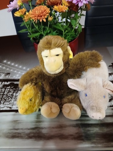 Süße steiff tiere affe - süße,