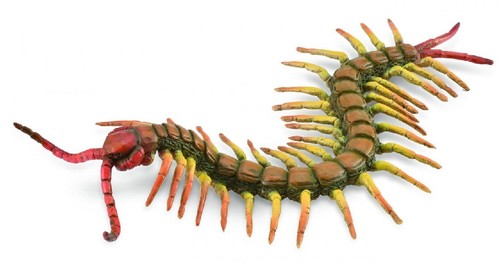 Collecta 88885 tausendfüßler - 88885,