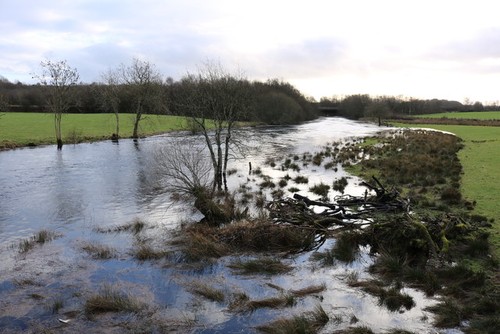 Foto der fluss bladnoch - fluss,