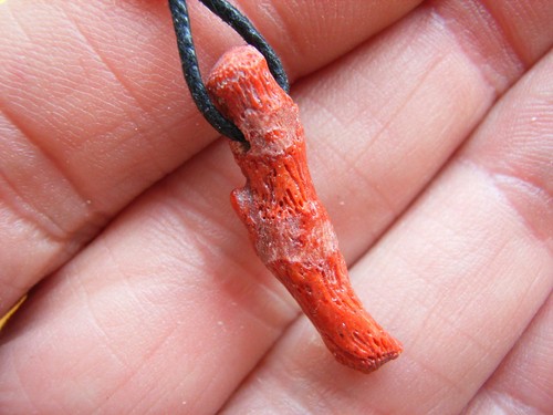 Rote bambuskoralle gebohrt - rote, bambuskoralle,