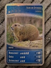 Netto Ozeanien 2 Wir tauchen