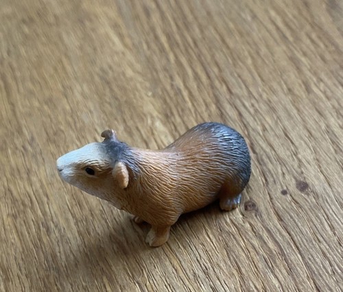 Schleich meerschweinchen - schleich,
