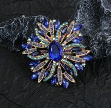 👑Luxus Brosche Wunderschön