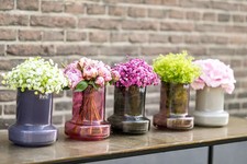 NEU - DutZ Vase ALEX, H 16 cm