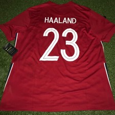 Erling Haaland WM Norwegen