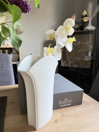 Rosenthal metridia vase - rosenthal,