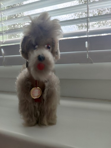 Kleiner steiff hund - steiff,