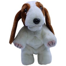 Basset Hound, stehend