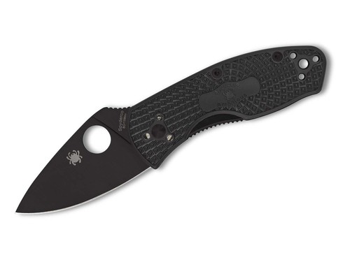 Spyderco ambitious lightweight - ambitious,
