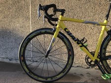 Giant TCR 54M