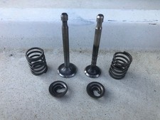 Ein + Auslassventil für Tecumseh Rasenmäher Motor Vantage 35 Prisma 37 BVS 153