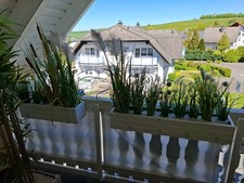 Blumen kästen holz - blumen-, kästen,holz,weiss