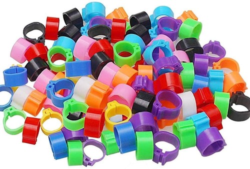 Vogelfußringe kunststoff 8mm - kunststoff,