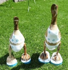 2 Laufenten mit Badelatschen