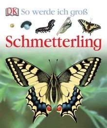 Schmetterling von verlag - schmetterling,