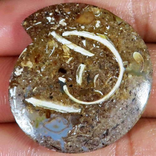 Natürlich fossil - ct,