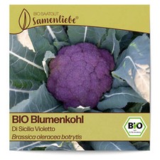 BIO Blumenkohl Samen Sorte Di Sicilia Violetto Gemüsesamen BIO Gemüse Saatgut sa