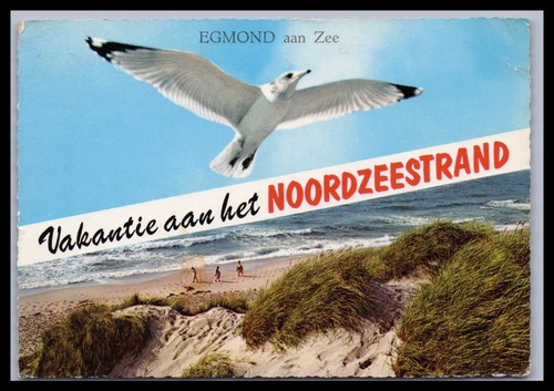Ansichtskarte egmond aan zee - egmond,