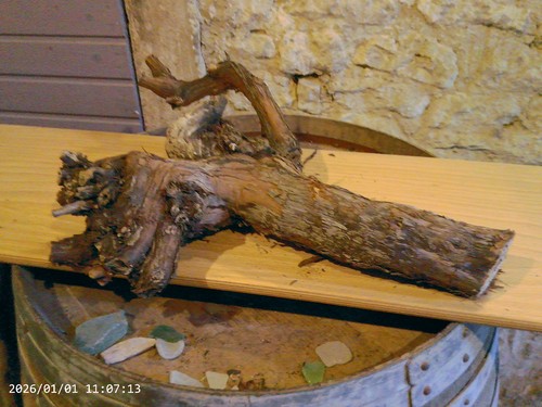 Weinstock herbstdeko holz - herbstdeko,