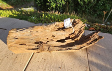 Mangroven Wurzel L 53x25x16cm