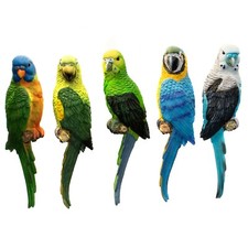 Papagei/ Wellensittich 21-32