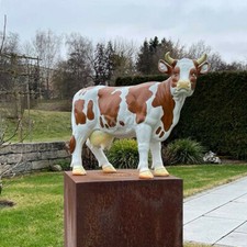 VERONIKA Milch KUH braun weiß