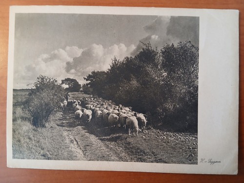 Postkarte 3049 nicht gelaufen