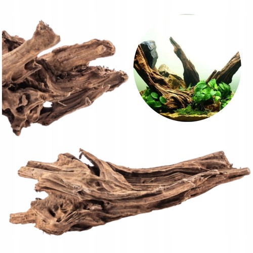 Wurzel für aquarium mangrove - für,