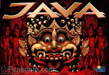 Ravensburger Java Brettspiel