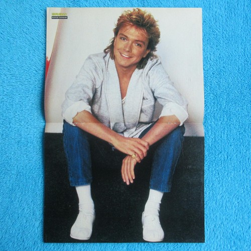 David cassidy poster - cassidy,