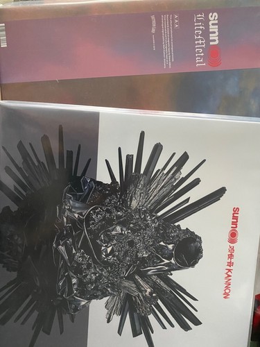 Sunn kannon o - sunn, kannon,