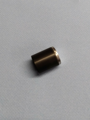 Bremssattelkolben hinten für