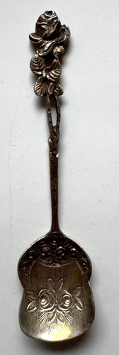 Hildesheimer rose - hildesheimer,