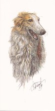 * Windhund *  BARSOI *  BORZOI    * Levrier ***   Postcard  * # 128