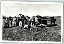 39791645 - Volkstypen Beduinenzelt Ziege Familie Dromedar  Campement de