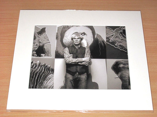 Lumas foto bild andy warhol - lumas,