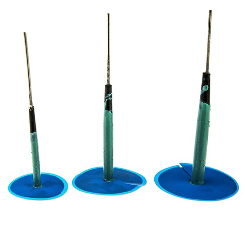 Reifenkörper reifenpilze - reifenpilze, 3