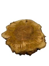 Kirsche Baumscheibe ca 34-46 cm Duchmesser und 6 cm Dicke, Baumscheibe